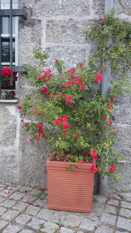 Casa O Torgal Villa Parada del Sil Luaran gambar